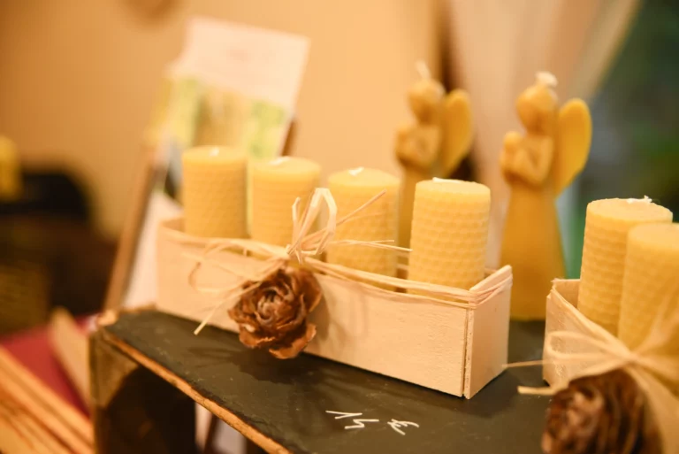 beemaison apiculteur isere photo9