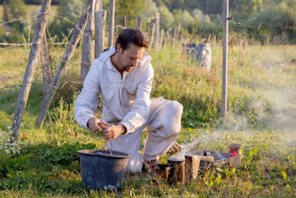 beemaison apiculteur isere vincent le bret