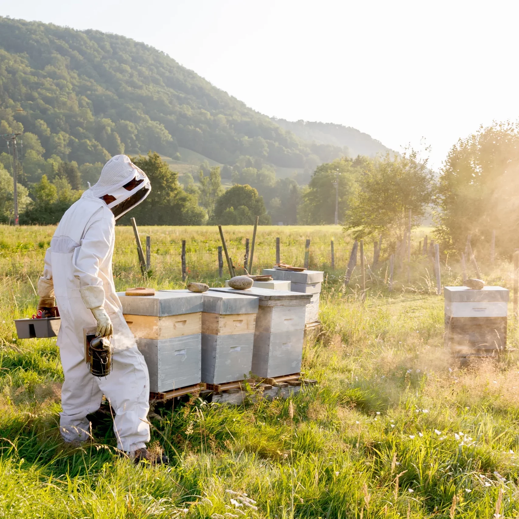 beemaison appiculture blocs